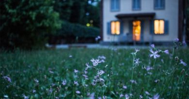 3 raisons d’installer un piège à taupe dans son jardin piège à taupe