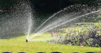Jardin : et si vous installiez un arrosage automatique ? arrosage automatique