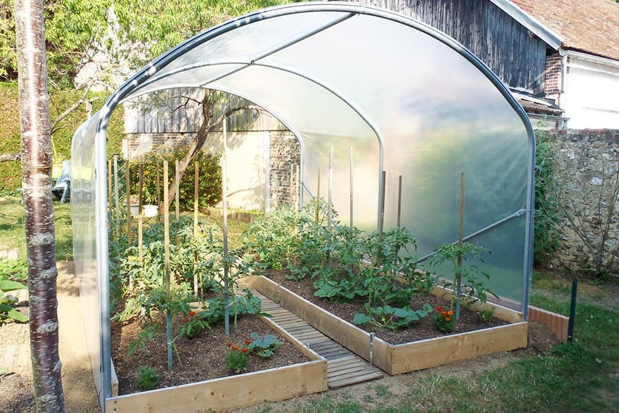 serre tomates