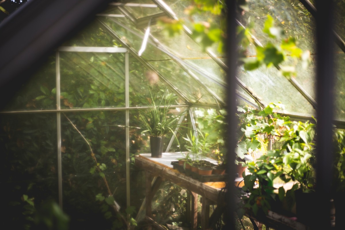 serre de jardin