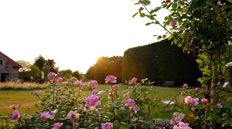 jardin exotique