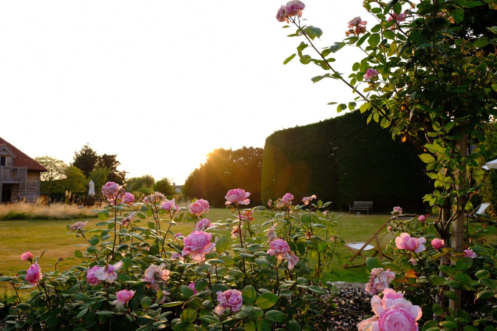 jardin exotique