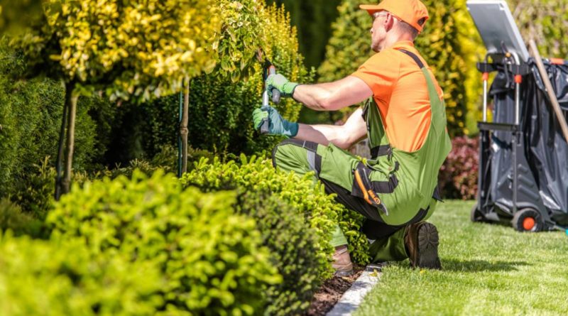 préparer jardin printemps