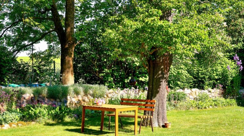 comment donner du relief à son jardin