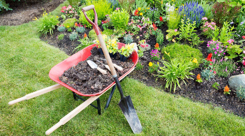 préparer jardin vacances été