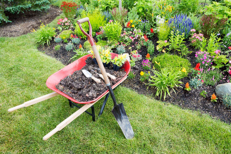 préparer jardin vacances été