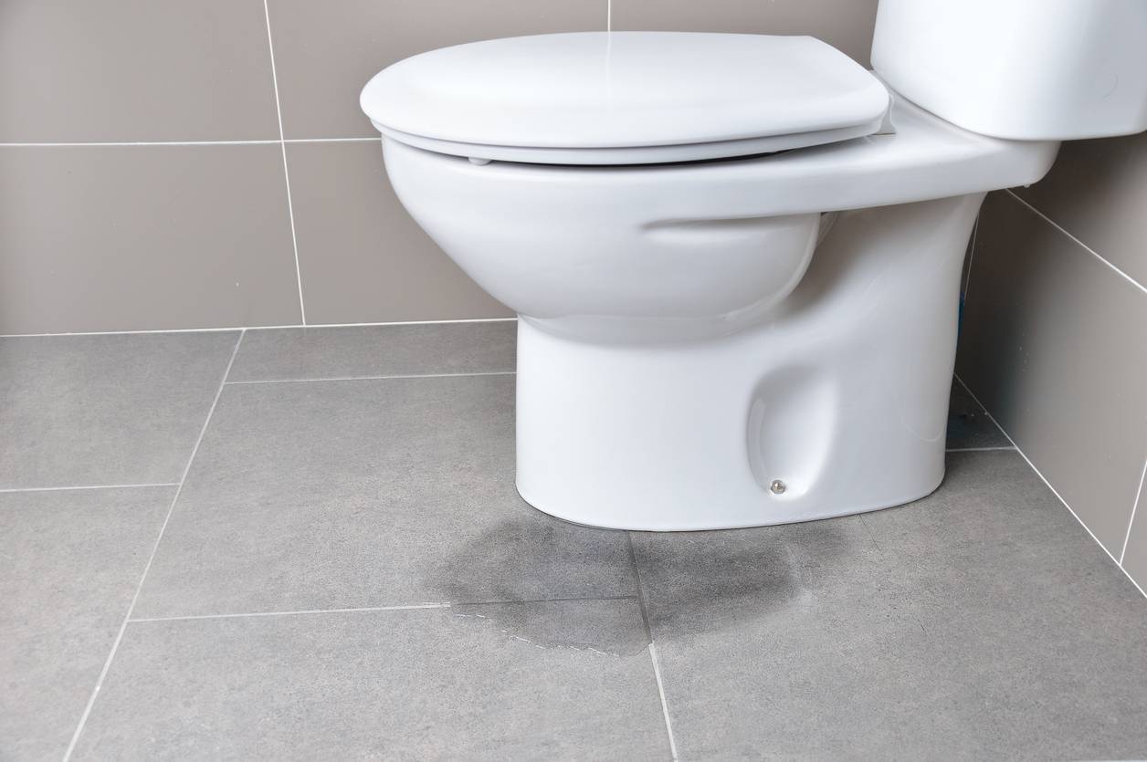 fuite toilettes
