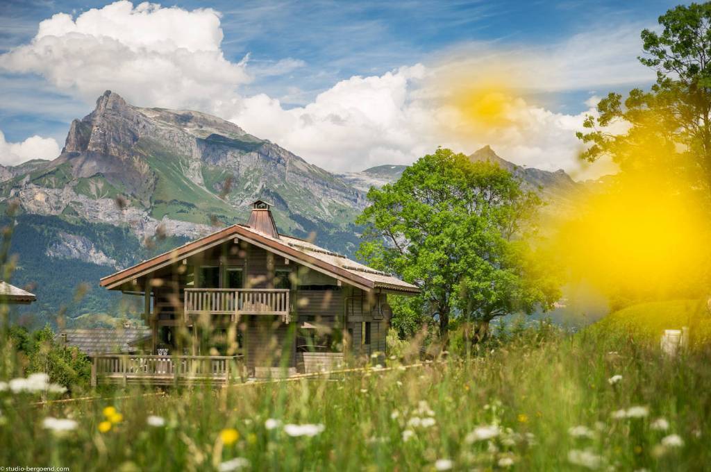 quel bois pour construire un chalet