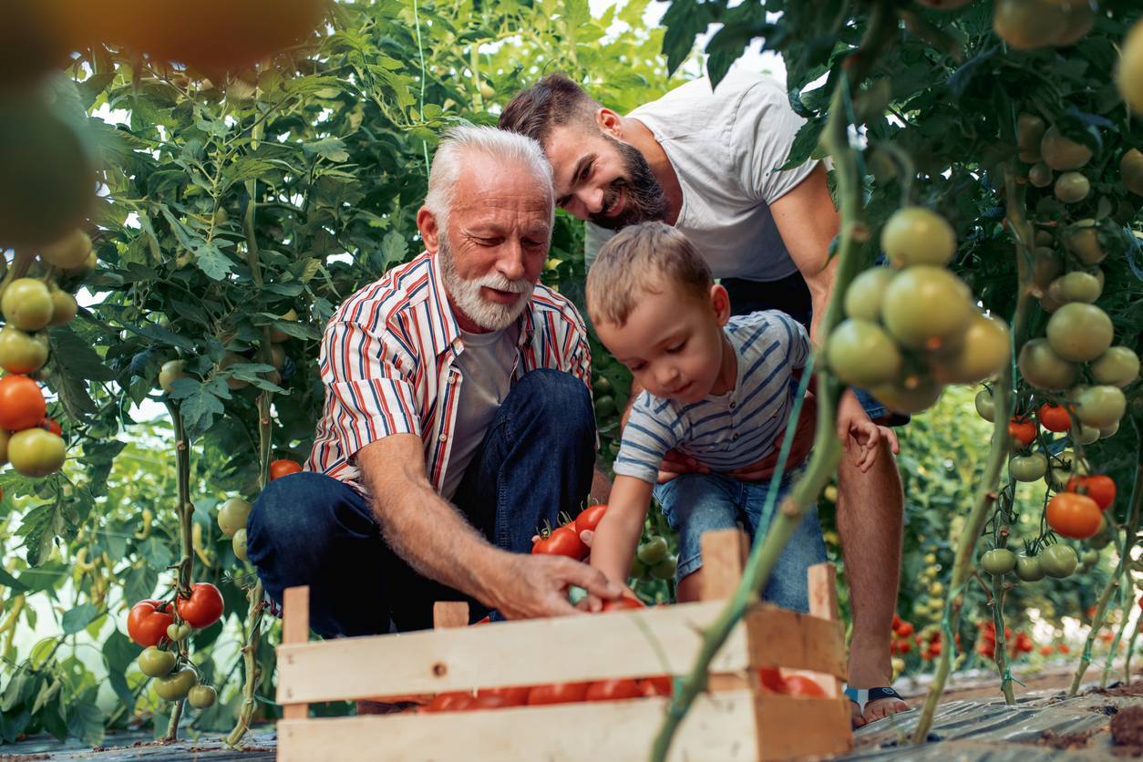 potager autonome