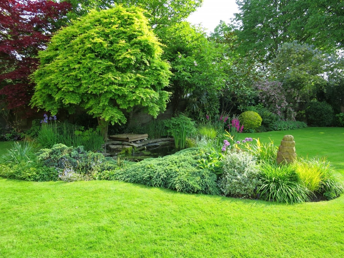 aménagement jardin 3