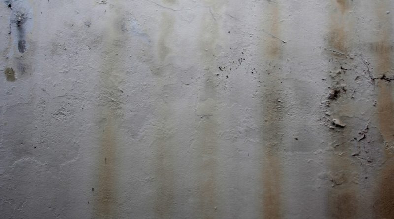 structure bois facade nettoyage pulvérisateur