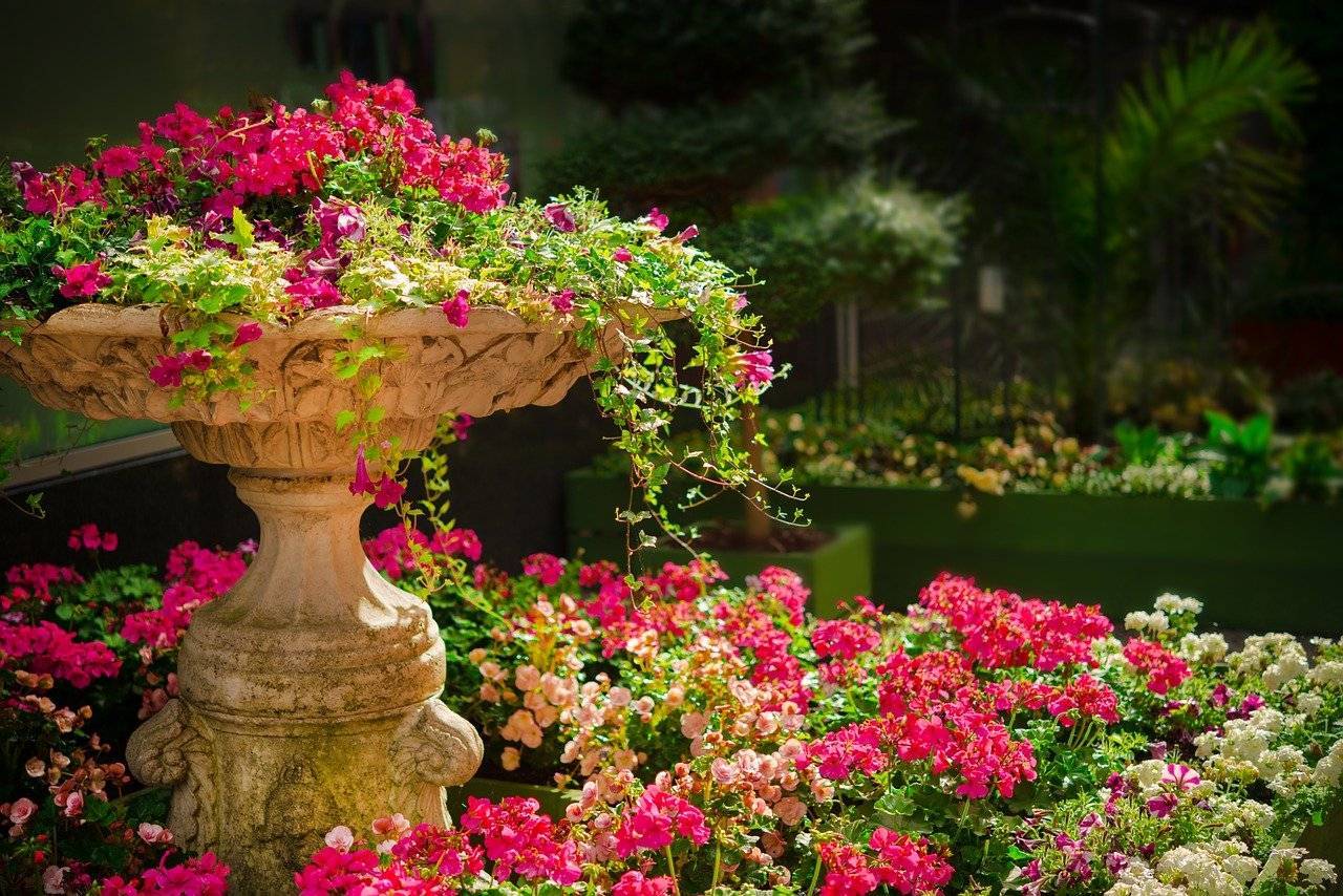 faire une belle allée de jardin