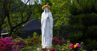 Le Guide Complet pour embellir votre jardin avec des statues religieuses embellir votre jardin avec des statues religieuses