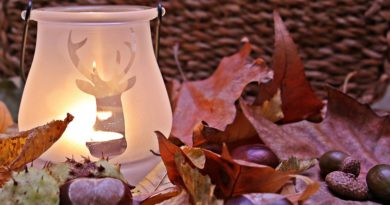 Idées de décoration pour l’automne décoration automne