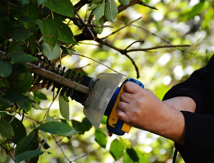 entretien outil de jardin