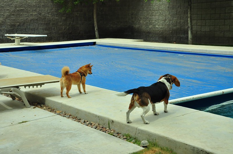 rideau de piscine