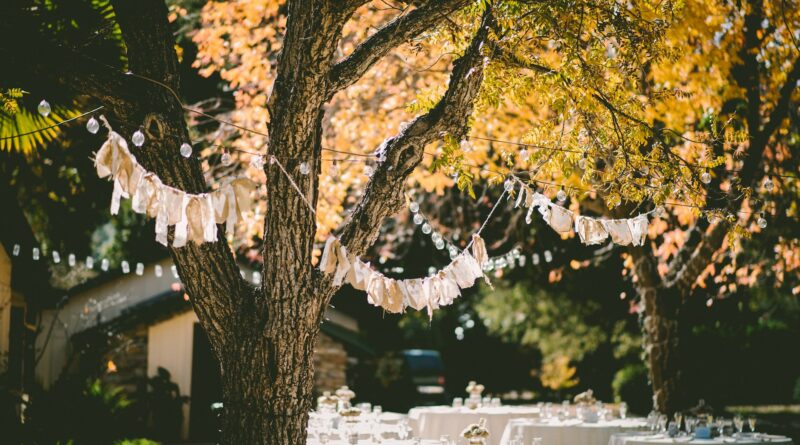 décoration table jardin