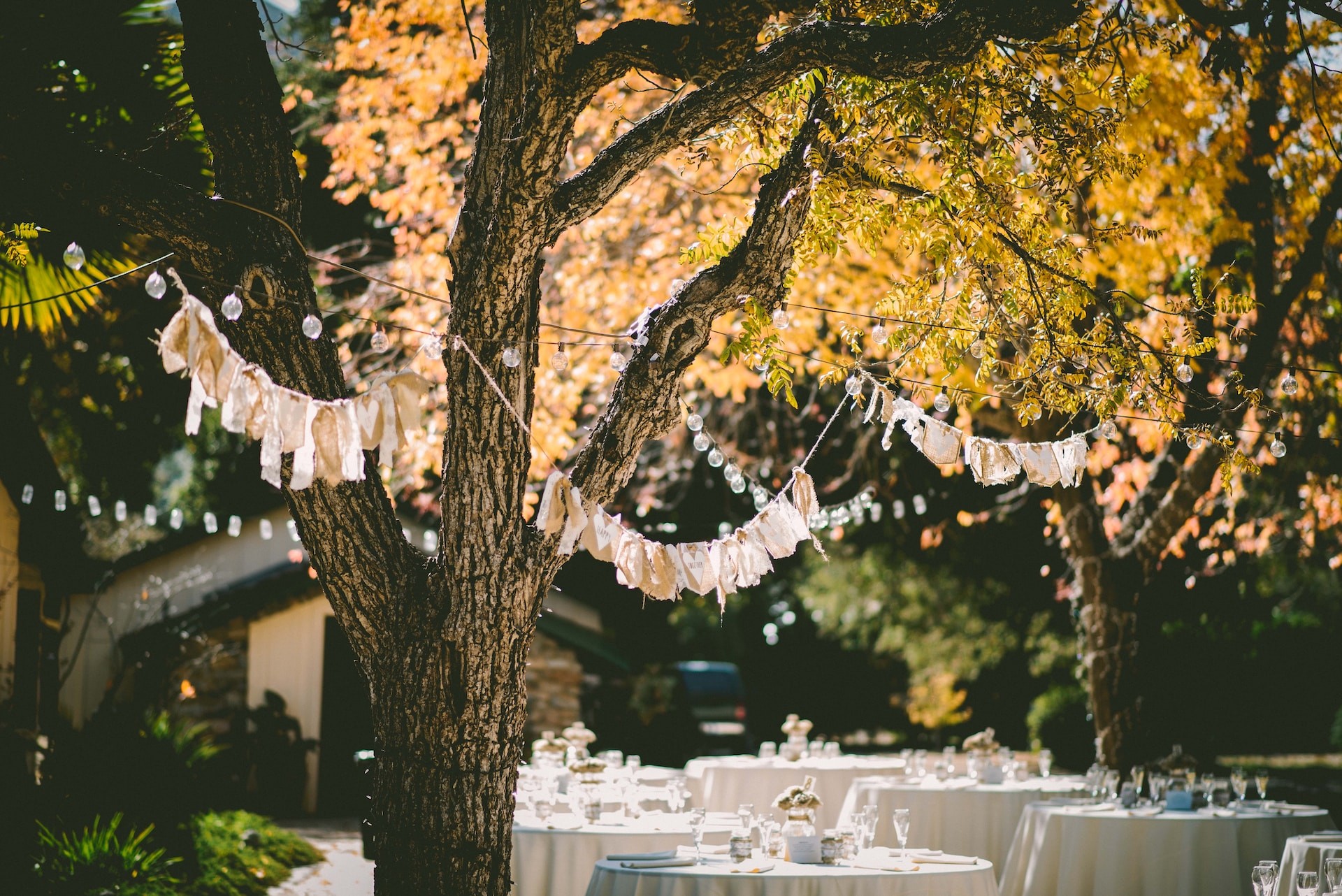 décoration table jardin