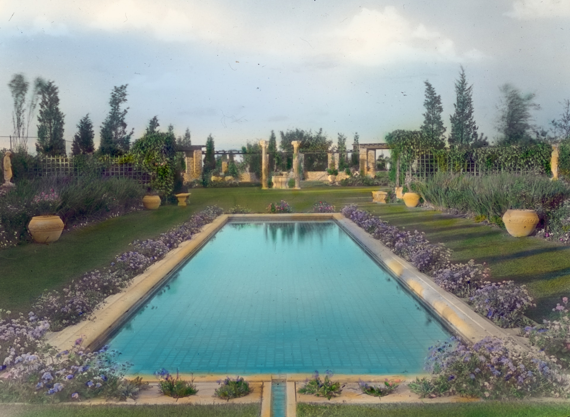 piscine écologique