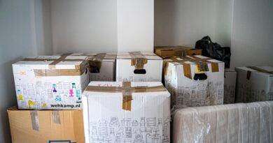 déménagement box stockage