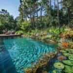 Piscine naturelle : quelles plantes filtrantes installer dans votre bassin ?