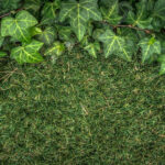 Apportez une touche de verdure à votre intérieur avec un mur végétal artificiel