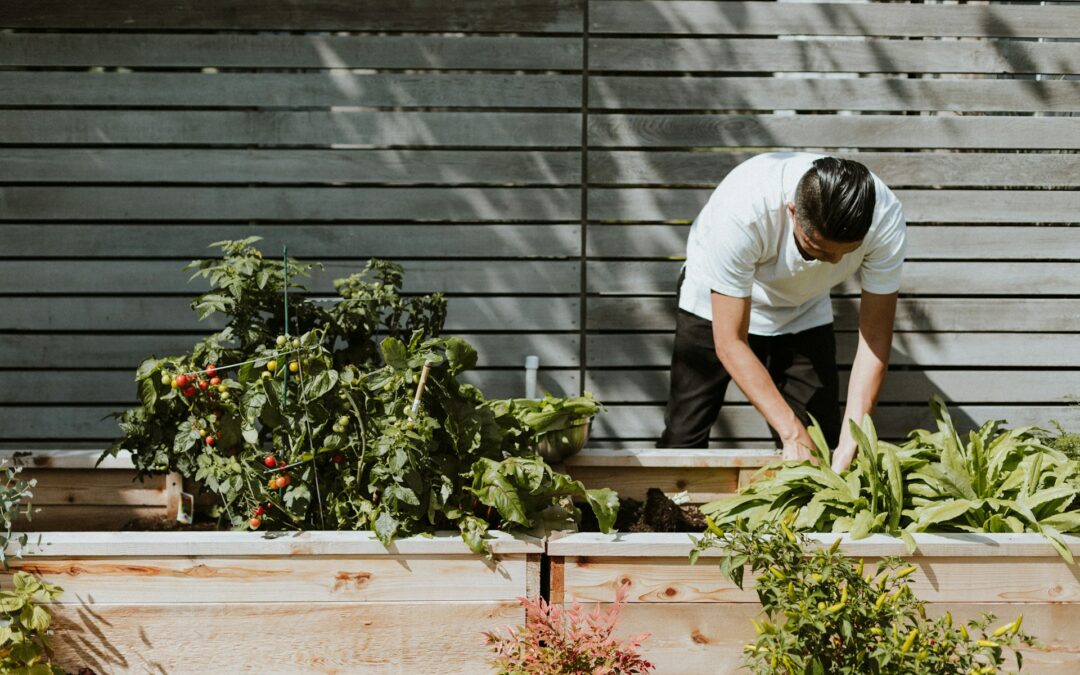 Alternatives de jardinage les jours de pluie : Que faire à l’intérieur quand on ne peut pas se salir les mains