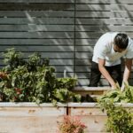 jardinage