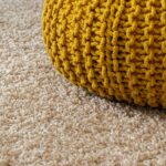 comment nettoyer un tapis en laine