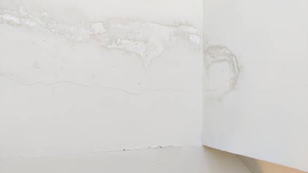 tache d'humidité au plafond