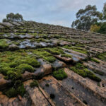 Un toit de tuiles anciennes couvert de larges plaques de mousse verte, sous un ciel nuageux avec des arbres en arrière-plan.