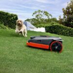 tondeuse autonome jardin